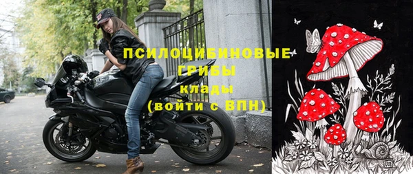 2c-b Пестово