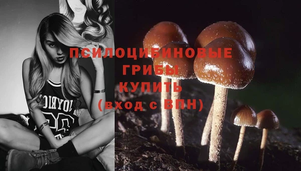 mdpv Пересвет