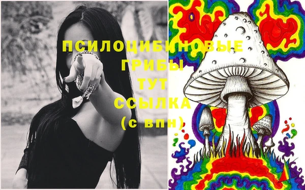мяу мяу мука Переславль-Залесский
