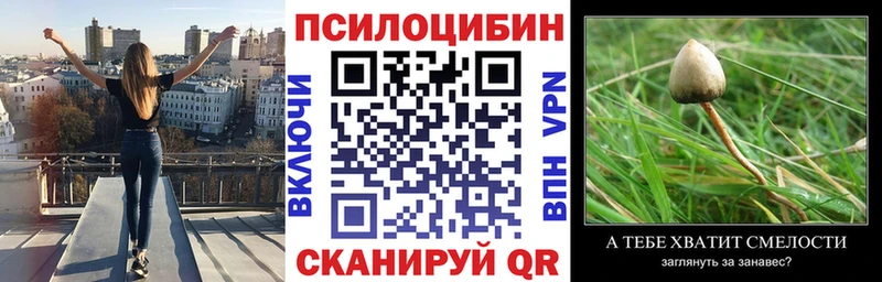 Псилоцибиновые грибы Cubensis  Бабушкин 